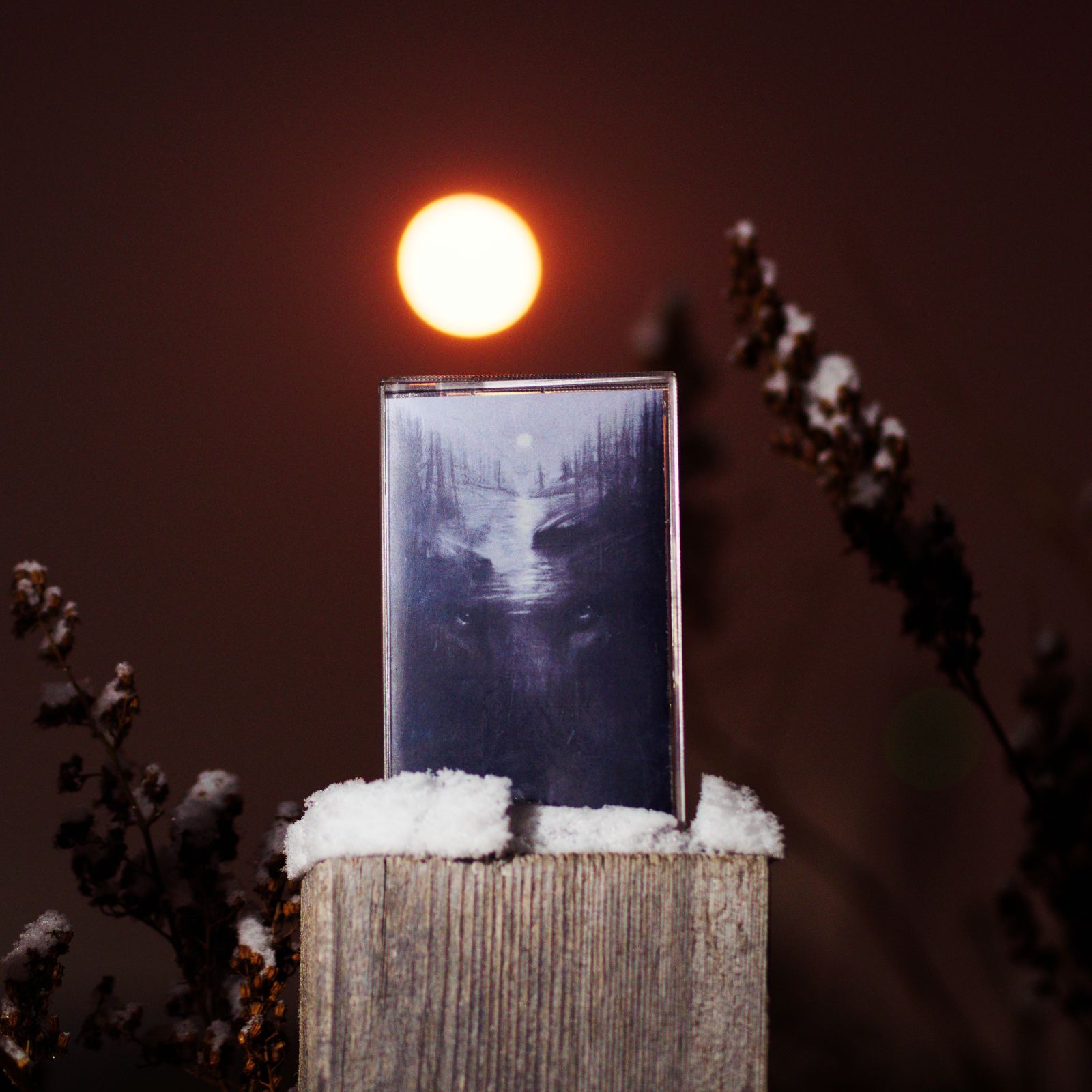 Fjara - Kanteletar / Inkerinmaa