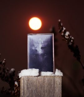 Fjara - Kanteletar / Inkerinmaa